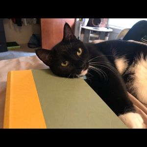 Meet your Posher, Michele